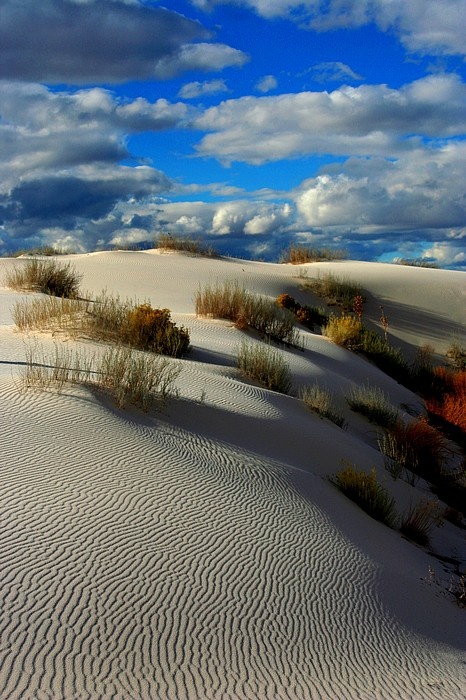 Photo:  Desert 